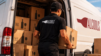 VAN DELIVERY DRIVER